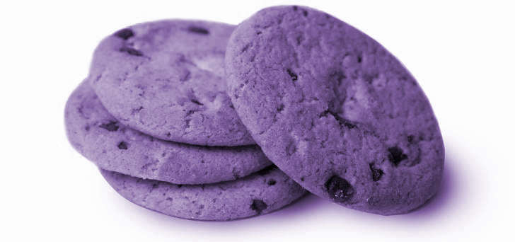 polityka prywatności i cookies