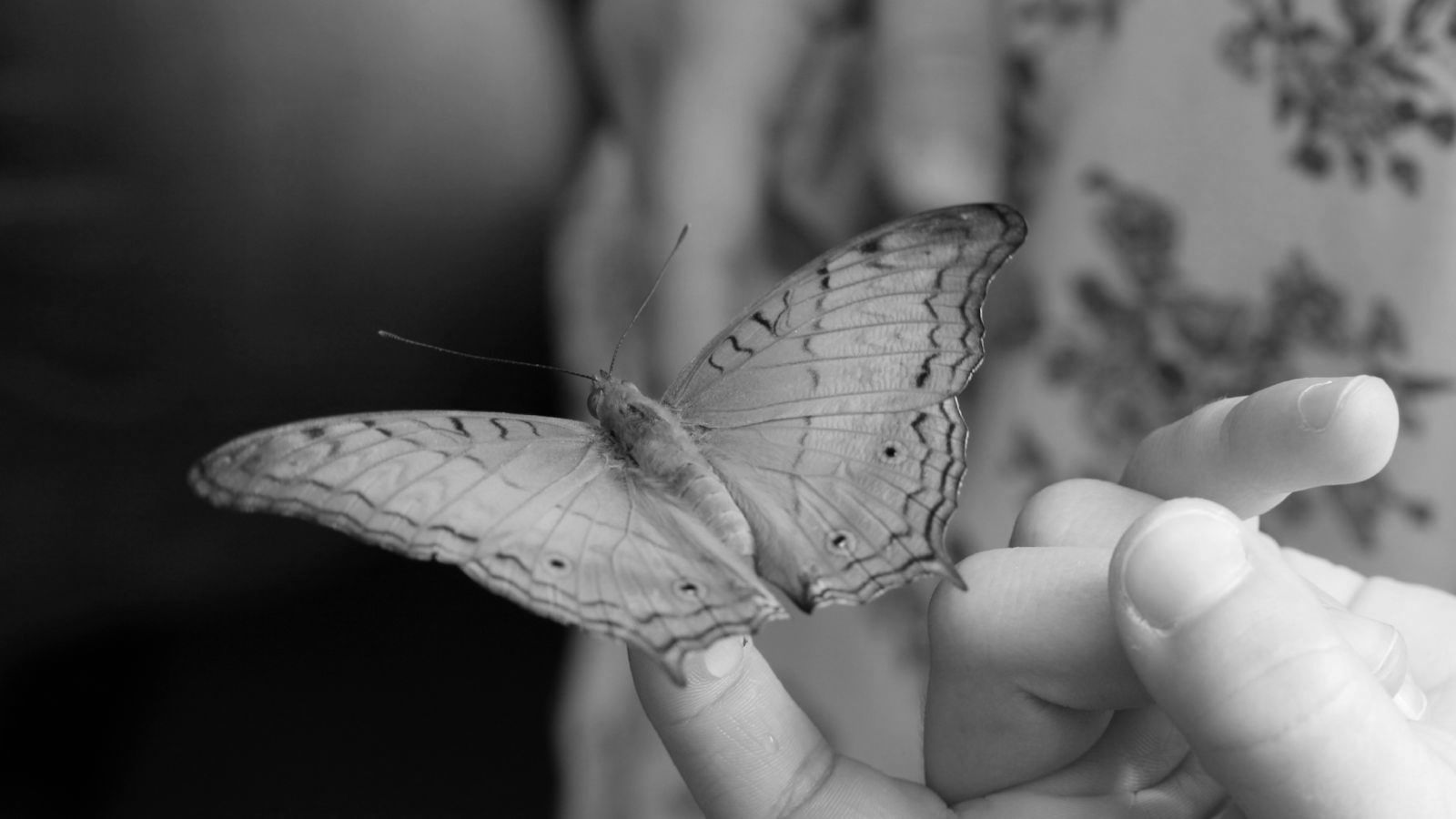 slide nr 1 - naturalna lekkość