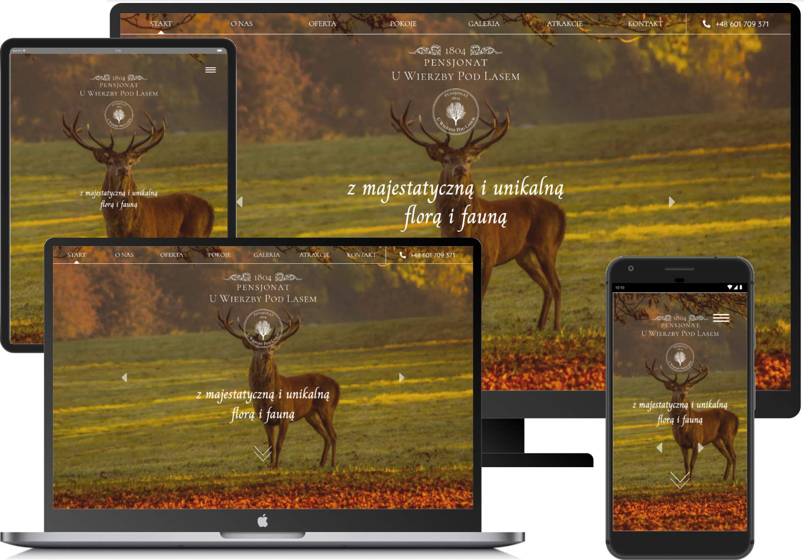 zrzut ekranów strony aqua montana